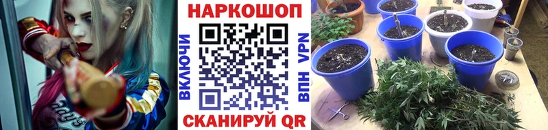 Как найти закладки Сегежа Марихуана  ГЕРОИН  мега вход  АМФЕТАМИН  ГАШ 