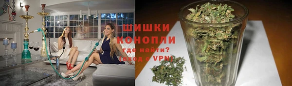 мет Няндома