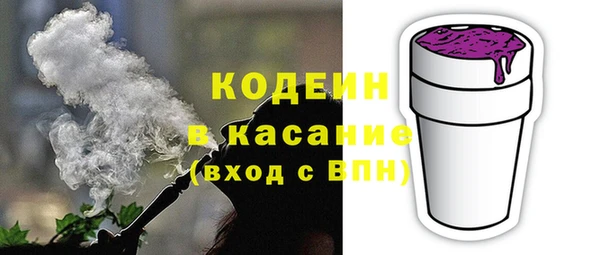 мет Няндома