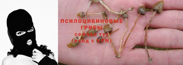 таблы Нягань