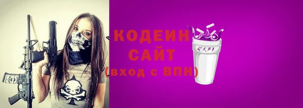 мет Няндома