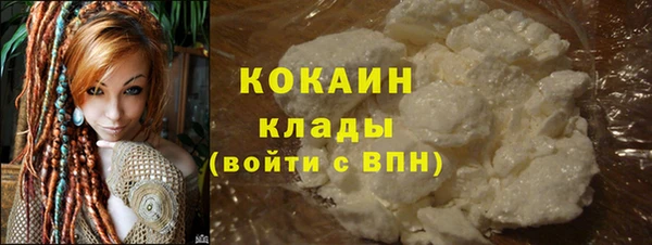 мет Няндома