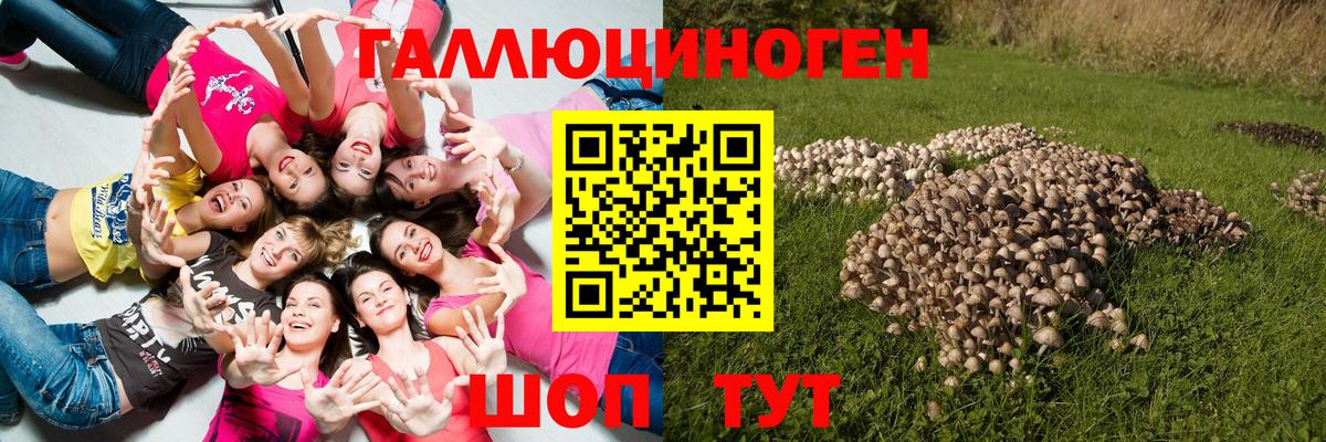 даркнет сайт  Вход с VPN  Сегежа  Галлюциногенные грибы Cubensis 
