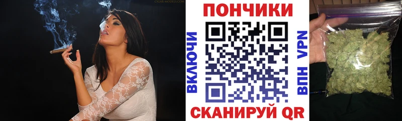 дарнет шоп  Сегежа  МАРИХУАНА план 